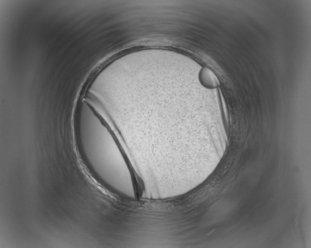 X0000082170840200702092241