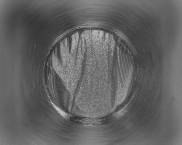 X0000082170842200702092241