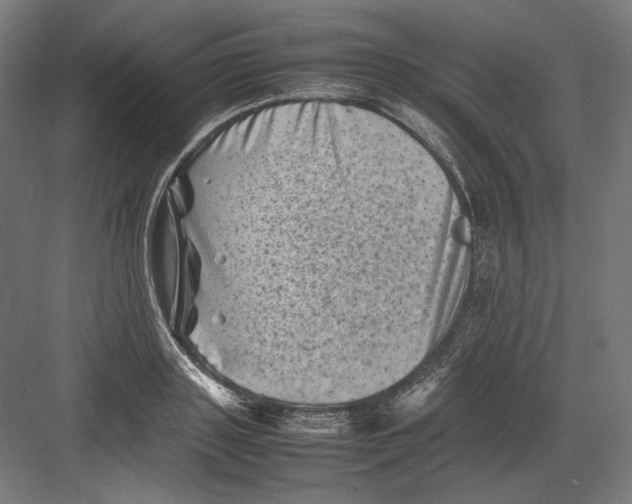 X0000082170843200702092241