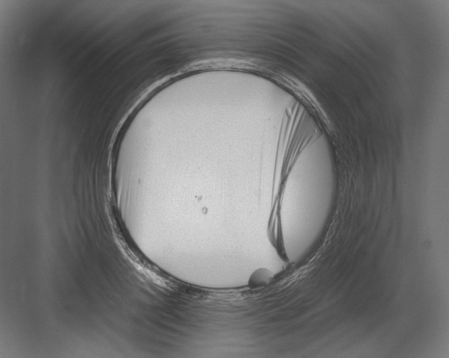 X0000082170844200702092241