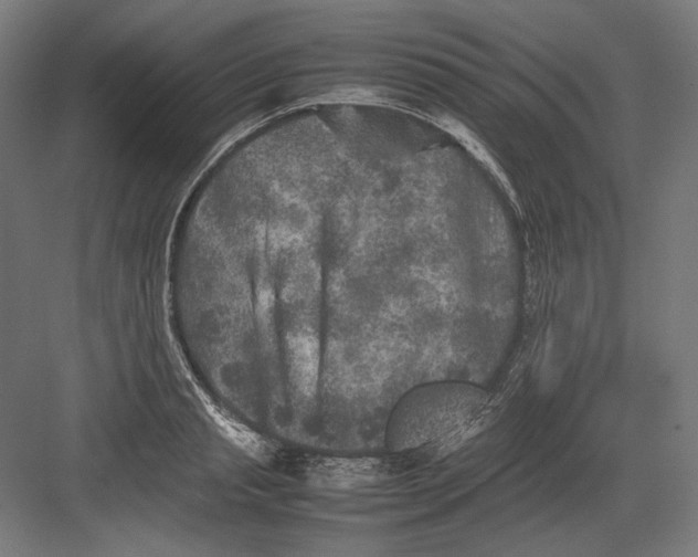 X0000082170845200702092241