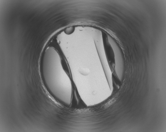 X0000082170846200702092241