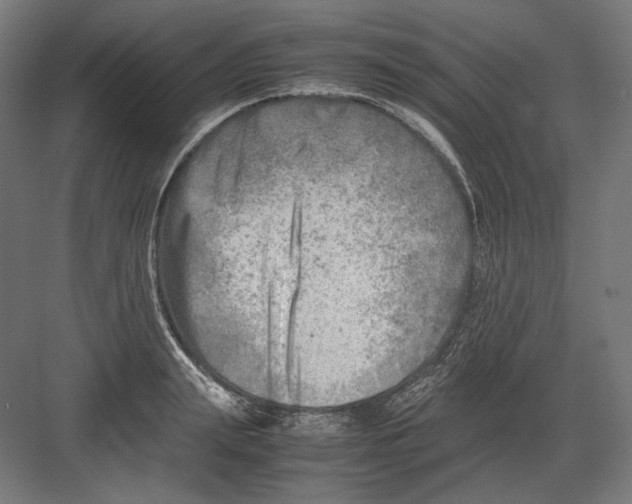 X0000082170847200702092241