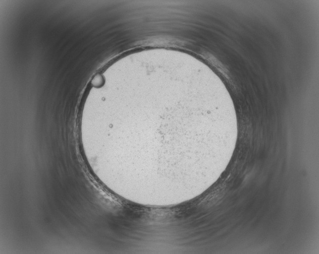 X0000082170848200702092241