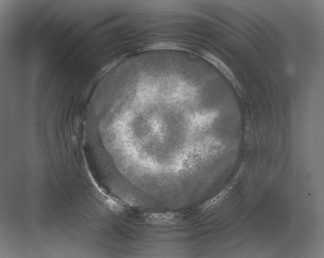 X0000082170849200702092241