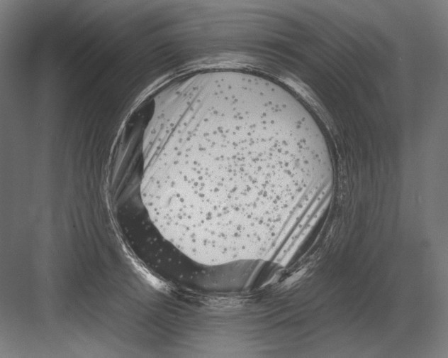 X0000082170850200702092241