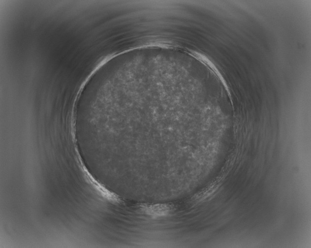 X0000082170851200702092241