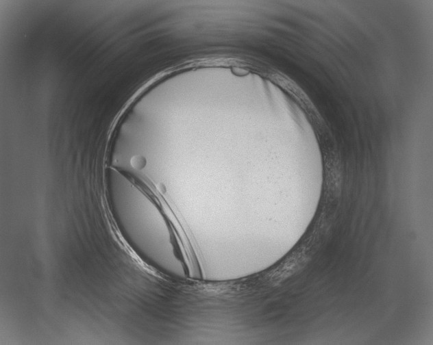 X0000082170852200702092241