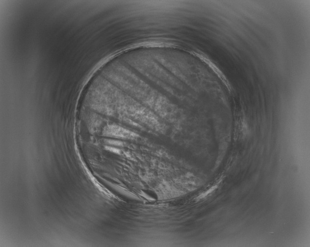 X0000082170853200702092241