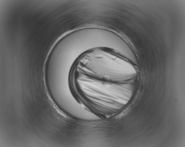 X0000082170854200702092241