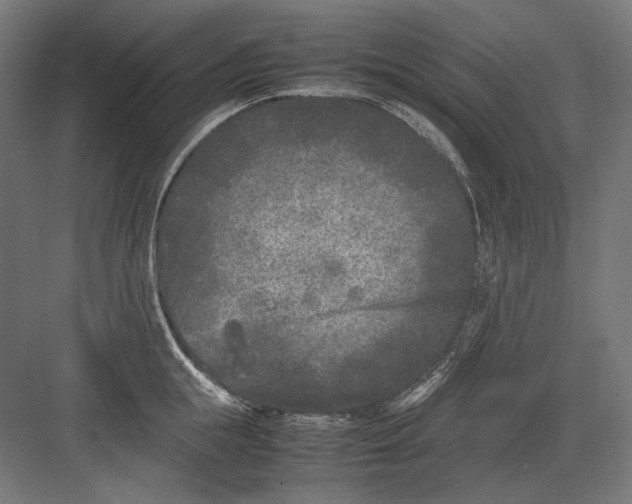 X0000082170855200702092241