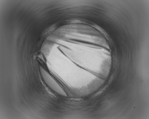 X0000082170857200702092242