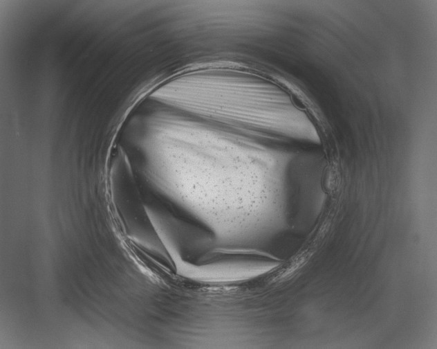 X0000082170858200702092242