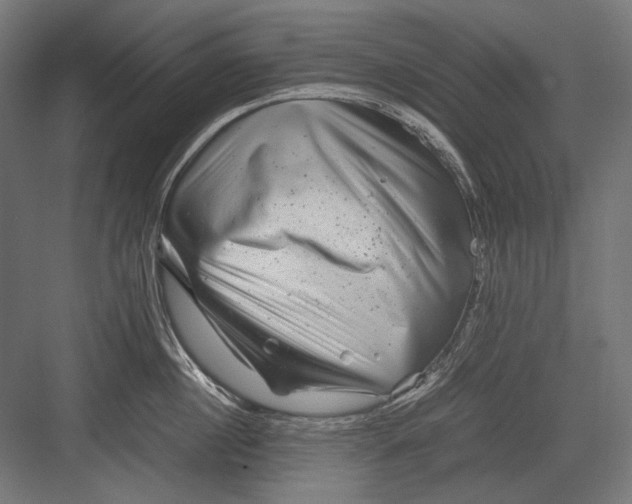 X0000082170860200702092242