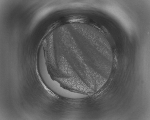 X0000082170861200702092242