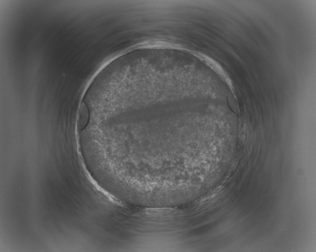 X0000082170863200702092242