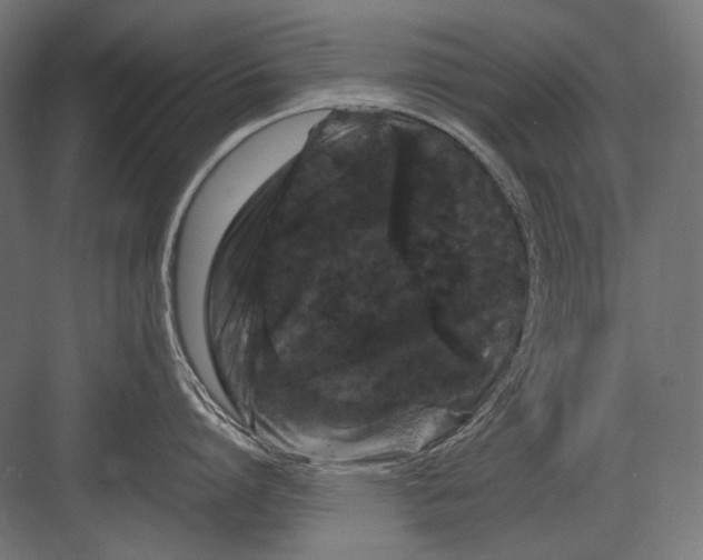 X0000082170864200702092242