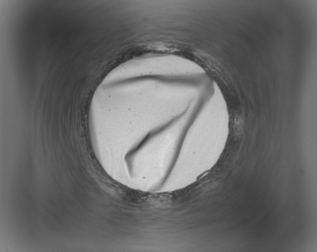 X0000082170865200702092241