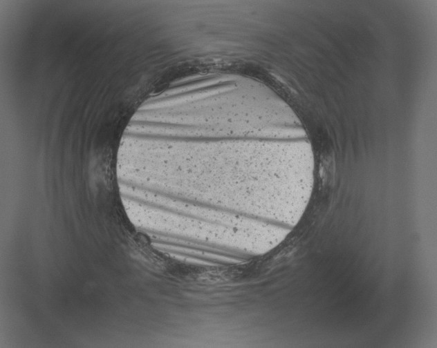 X0000082170867200702092241