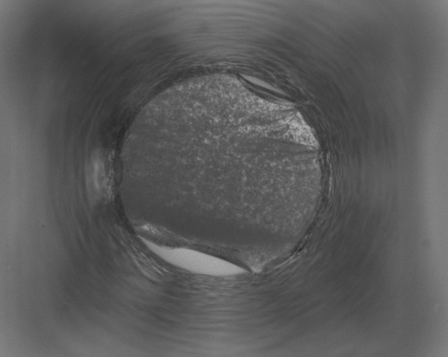 X0000082170868200702092241