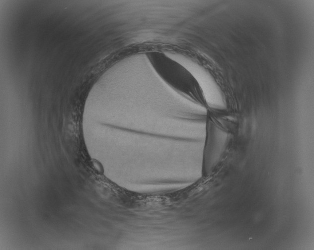 X0000082170869200702092241