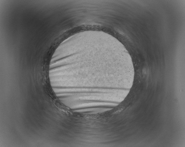 X0000082170870200702092241