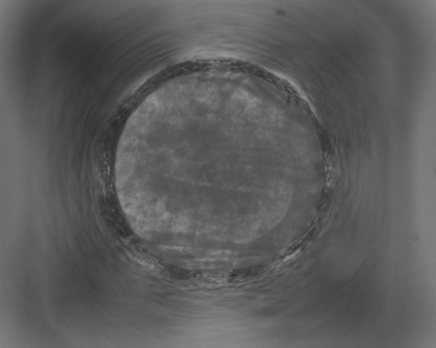 X0000082170871200702092241