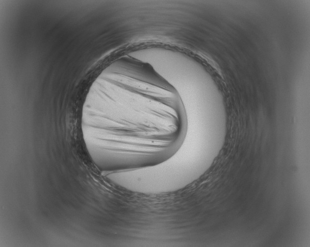 X0000082170872200702092241