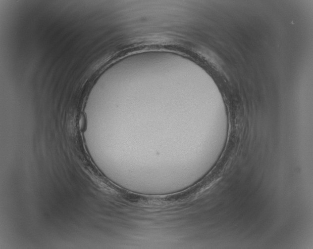 X0000082170873200702092241