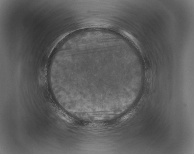 X0000082170875200702092241