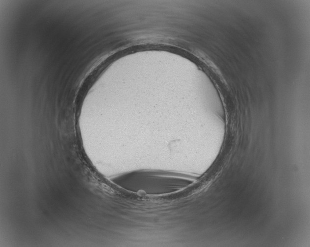 X0000082170877200702092241