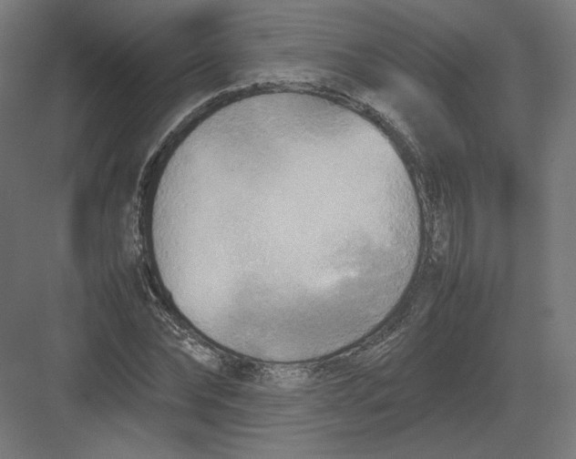 X0000082170878200702092241