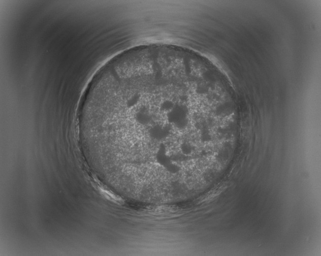 X0000082170879200702092241