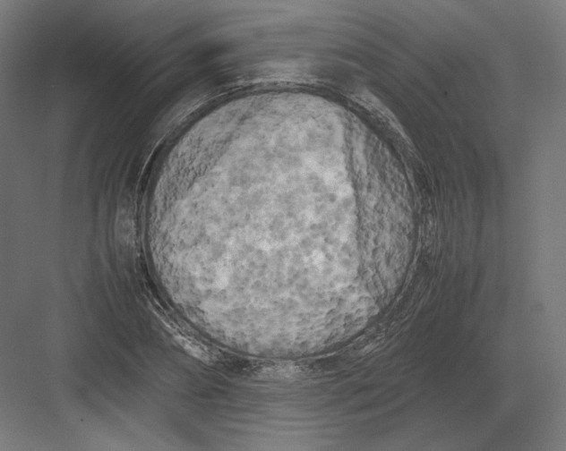 X0000082170882200702092241