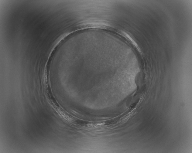 X0000082170883200702092241