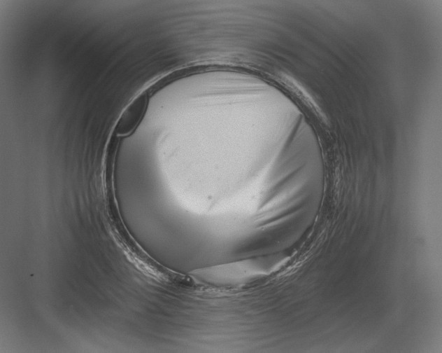 X0000082170884200702092241