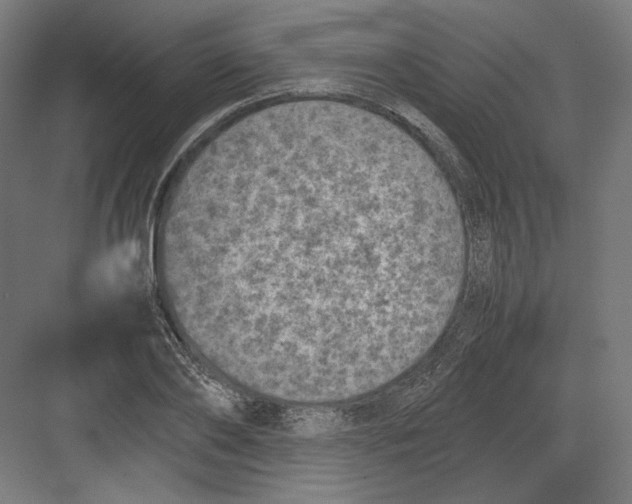 X0000082170886200702092240