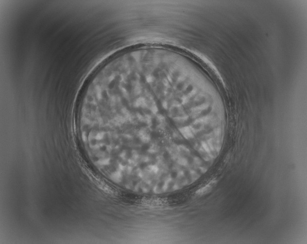 X0000082170887200702092240