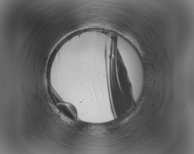 X0000082170888200702092240