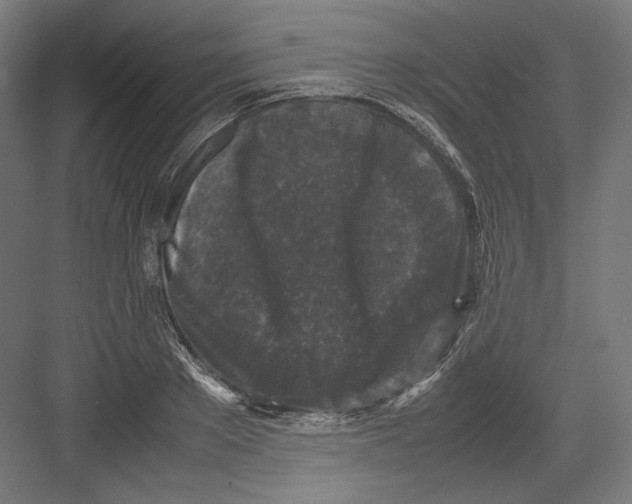 X0000082170889200702092240