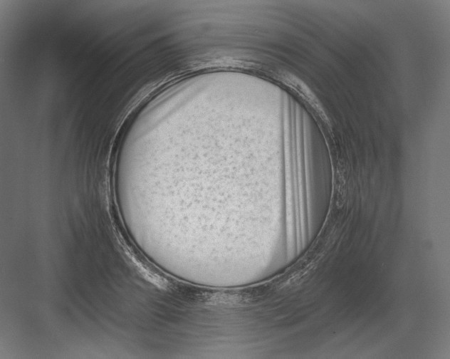 X0000082170890200702092240