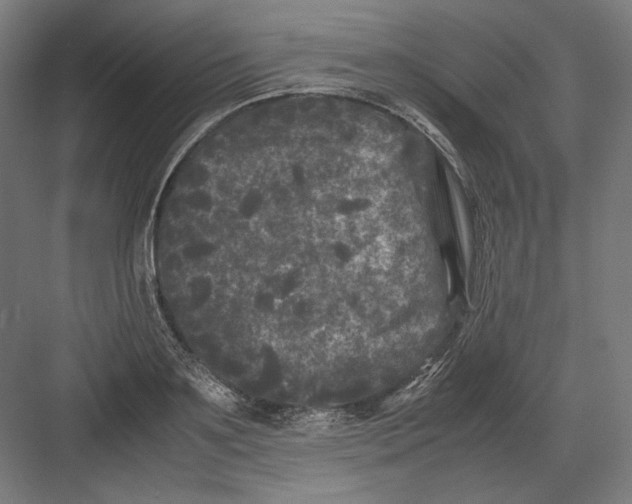 X0000082170891200702092240