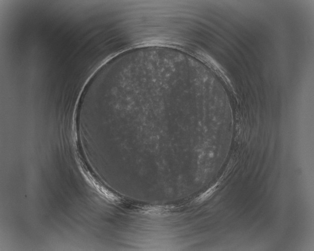 X0000082170892200702092240