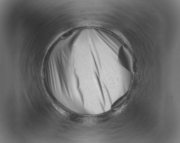 X0000082170893200702092240