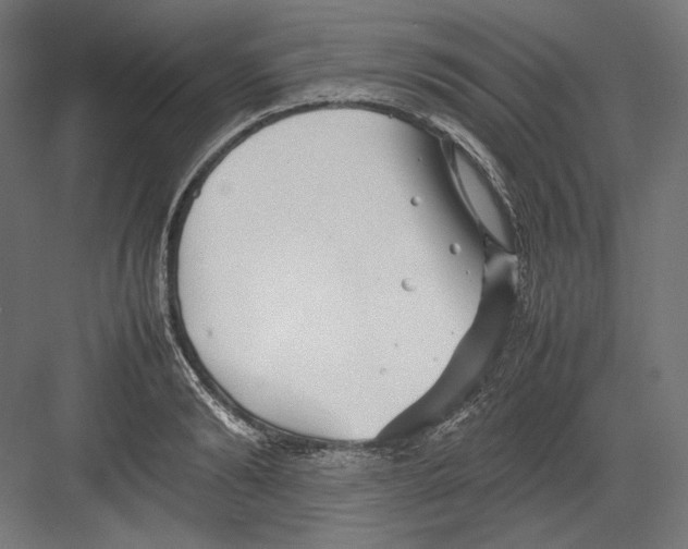 X0000082170894200702092240