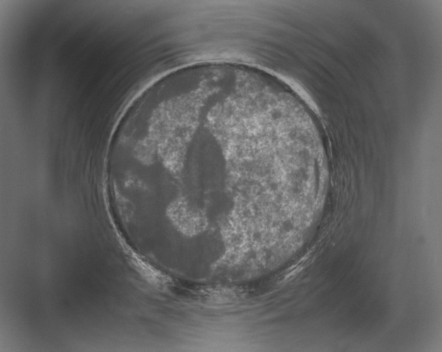 X0000082170895200702092240