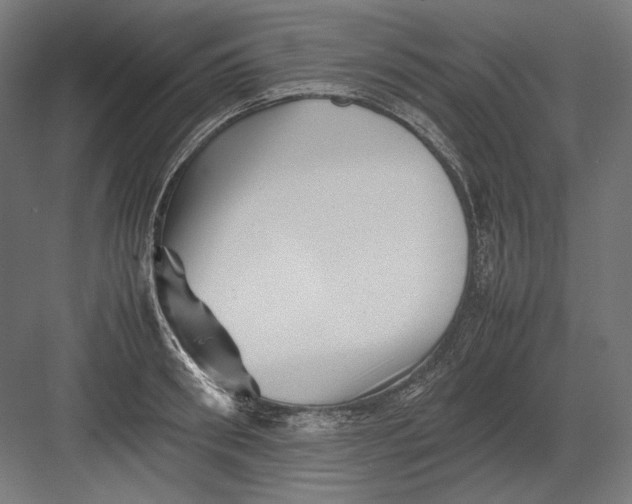 X0000082170898200702092240