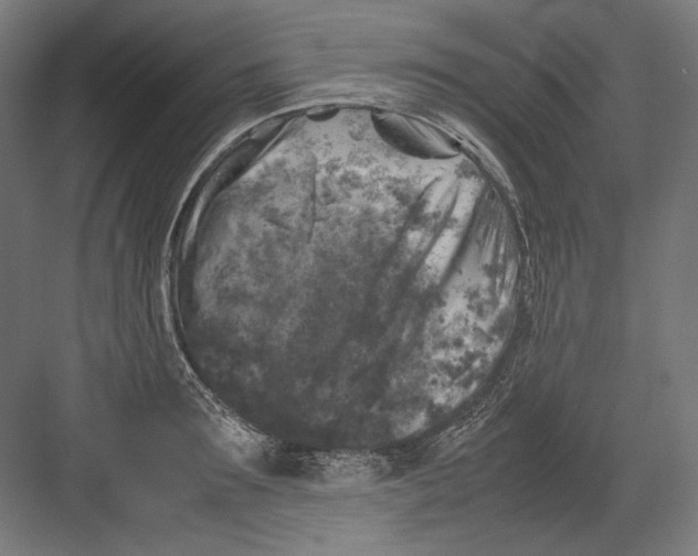 X0000082170899200702092240