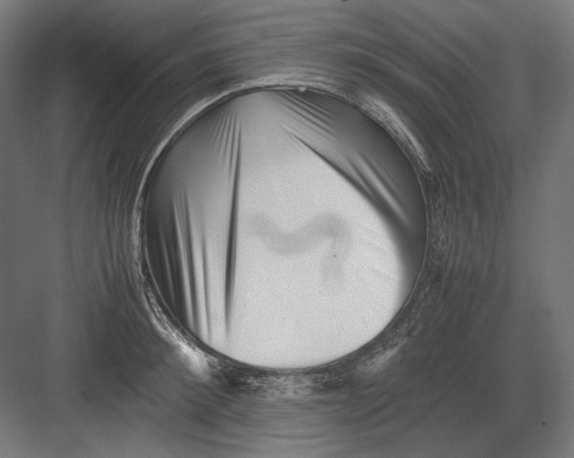 X0000082170900200702092240