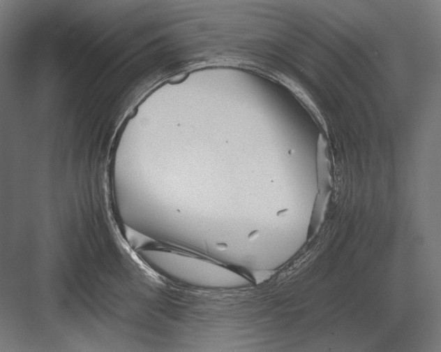 X0000082170906200702092240